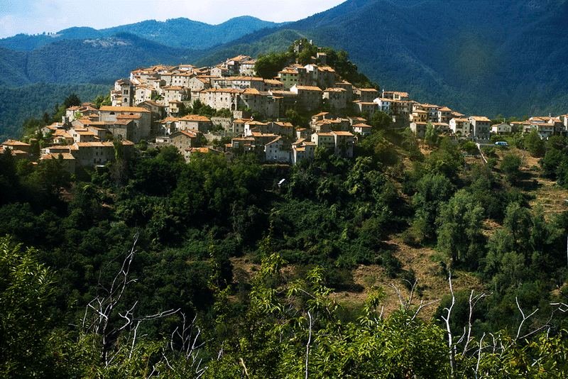 Stone houses with terracotta roofs crowning a wooded hilltop, with mountains behind